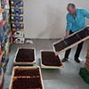 Dried fruit production in Armenia