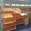 Dried fruit production in Armenia