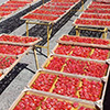 Dried fruit production in Armenia